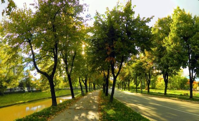 Vilsonovo šetalište 15