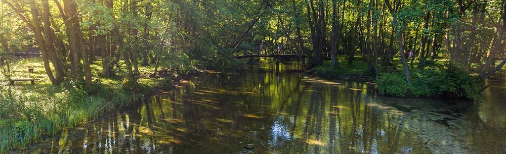 vrelo-bosne-1-1000×305-1